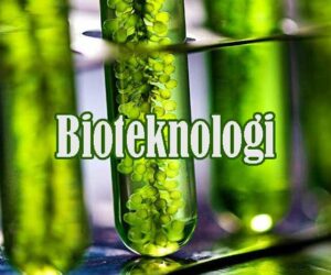 Bioteknologi