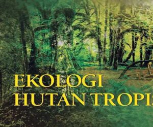 Pengertian Ekologi Hutan