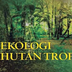 Pengertian Ekologi Hutan