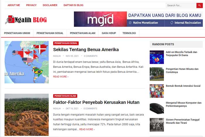Homepage Website