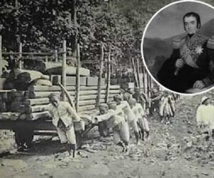 Kebijakan-kebijakan Herman Willem Daendels