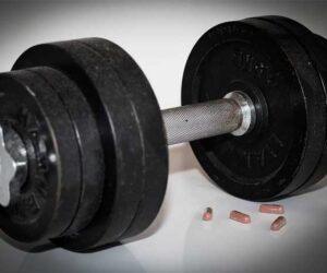 Pengertian Steroid dan Fungsinya