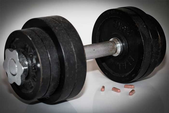 Pengertian Steroid dan Fungsinya