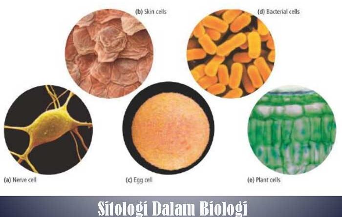 Sitologi Dalam Biologi