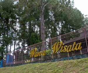 Pengertian Hutan Wisata