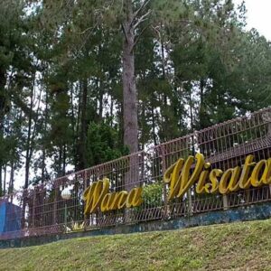 Pengertian Hutan Wisata