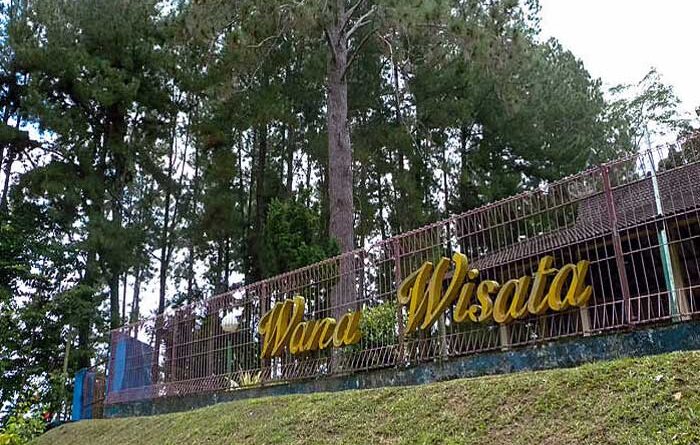 Pengertian Hutan Wisata