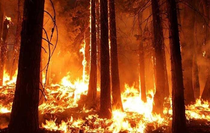 Kebakaran Hutan di Indonesia