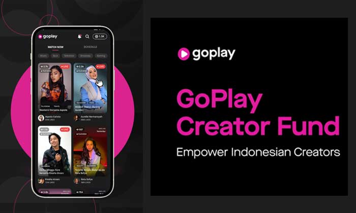 Goplay creator found