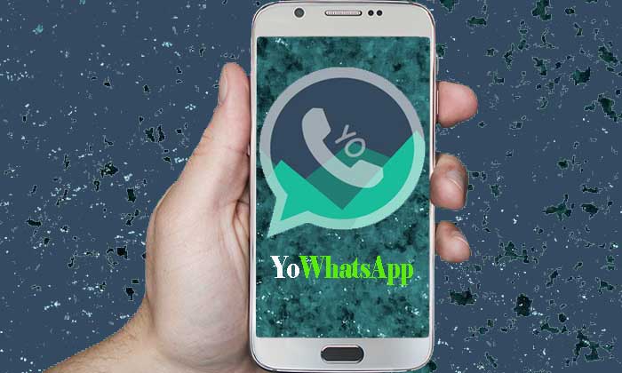 YoWhatsApp Mod Apk