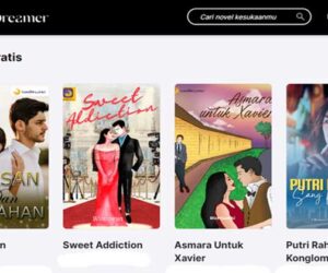 cerita fiksi di web novel