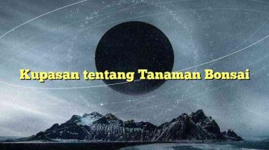 Kupasan tentang Tanaman Bonsai