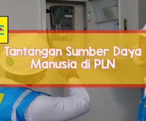 pln