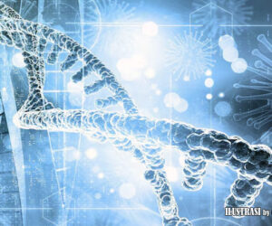 dna dan genetika