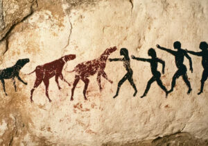 Evolusi