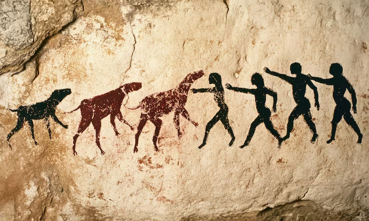 Evolusi