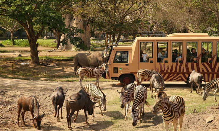 Bali Safari Marine Park